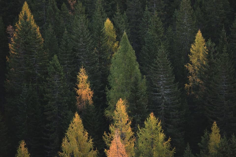 Canadian Rocky Mountains — proudly Canadian tax services